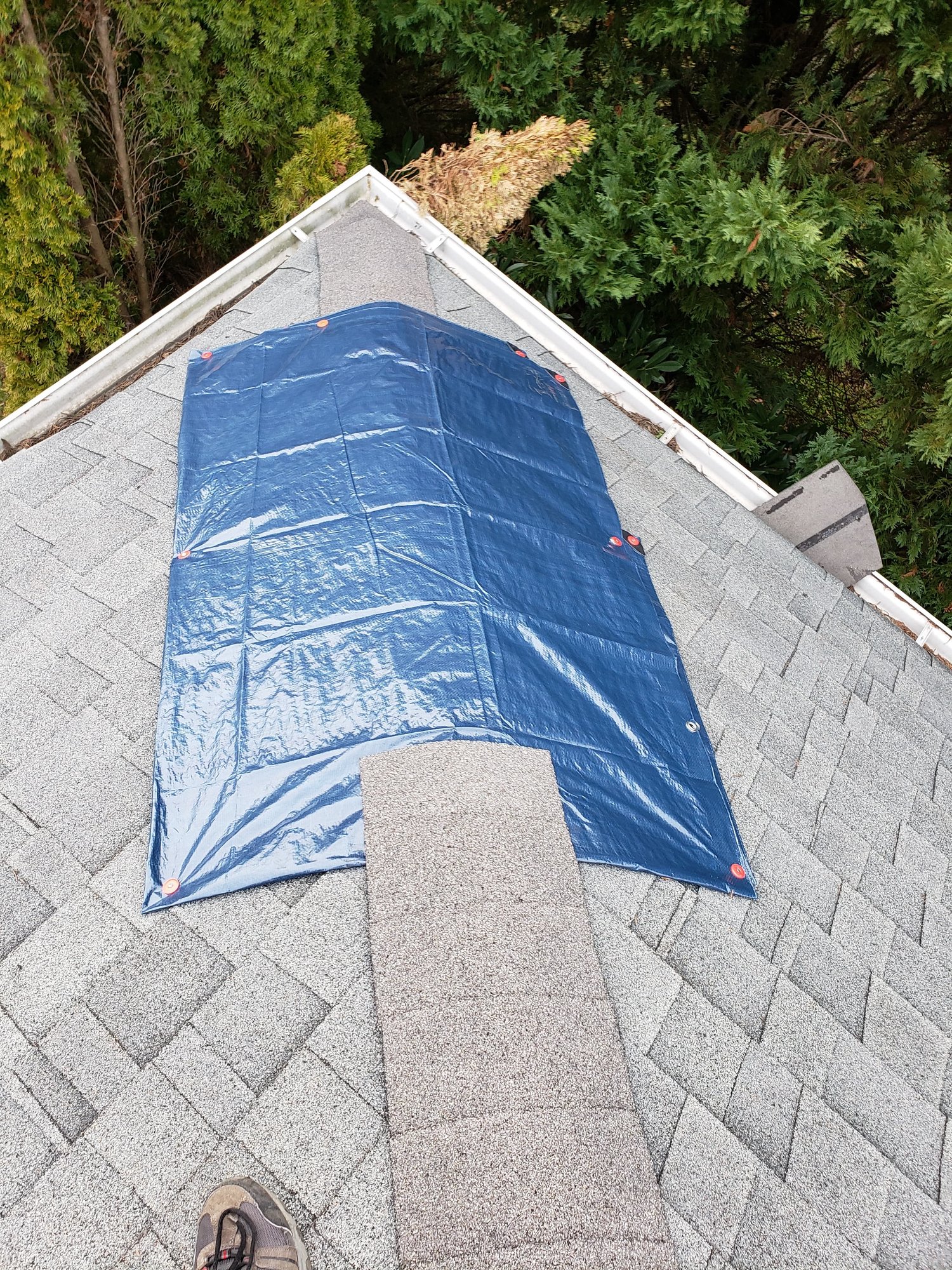 Blue tarp emergency roof protection installed by D&S Roofing